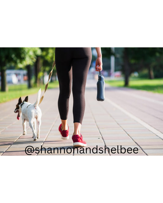 Walk This Way: How Walking with Your Dog Boosts Your Health, Happiness, and Bond